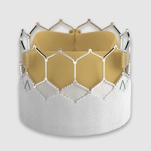 aortic valve bioprosthesis 1