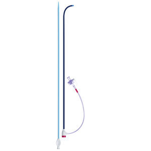 transseptal access sheath 1