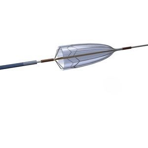 carotid embolic protection system 1