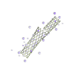 coronary stent