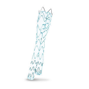 abdominal aorta stent graft