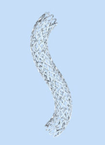 coronary stent