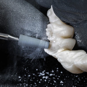 dental laboratory burr 1