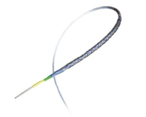 coronary stent