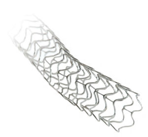 coronary stent