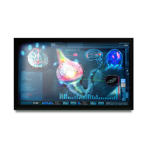 medical display 1