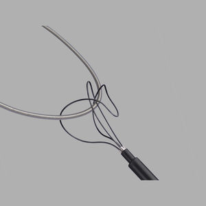 airway foreign body removal endoscopic snare