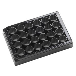 24-well microplate