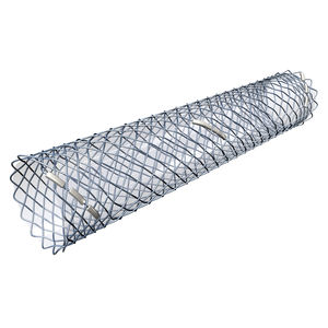 biliary stent