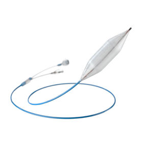 PTA catheter / blood vessel / balloon