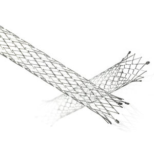 biliary stent