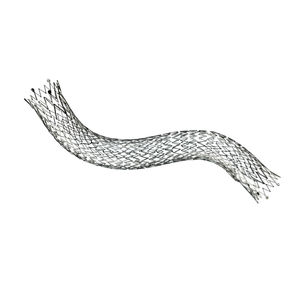 femoral artery stent