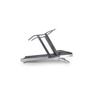 treadmill with handrails