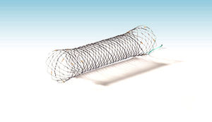duodenal stent