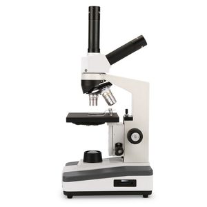 compound microscope 1