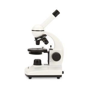 compound microscope 1