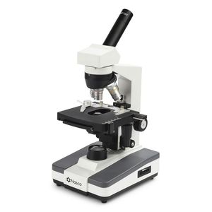 compound microscope 1