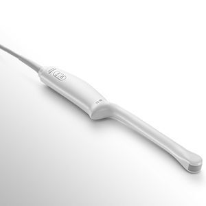 endocavitary ultrasound transducer