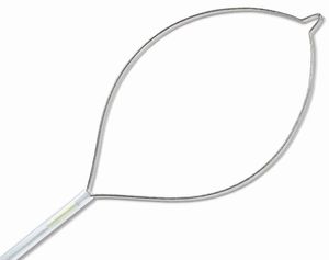 polypectomy endoscopic basket