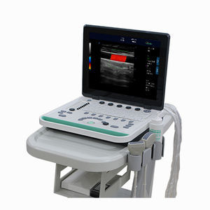 portable, with trolley ultrasound system