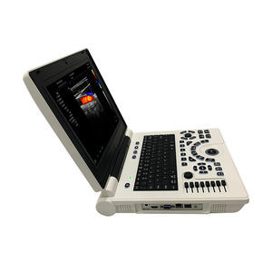 portable ultrasound system 1