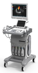 on-platform ultrasound system