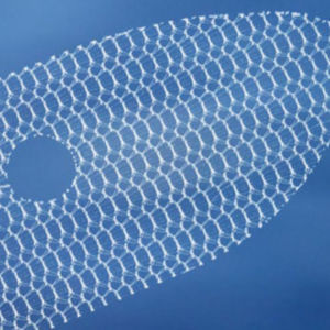 inguinal hernia prosthesis