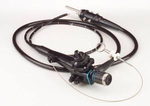 veterinary gastroscope