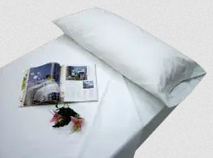 hygiene sheet