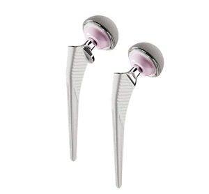 cementless femoral stem