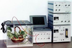 O2 analyzer