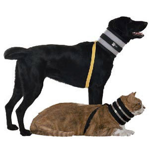 dog veterinary collar
