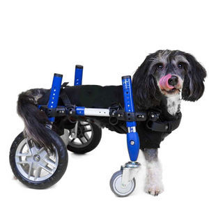 dog's veterinary wheelchair