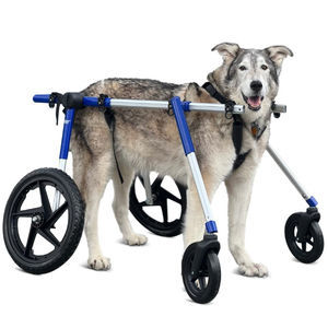 dog's veterinary wheelchair