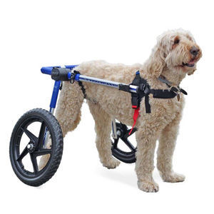 dog's veterinary wheelchair