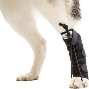 paw veterinary splint