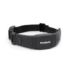 dog veterinary collar