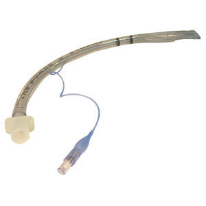infusion veterinary catheter