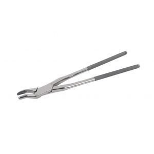 veterinary dentistry forceps 1