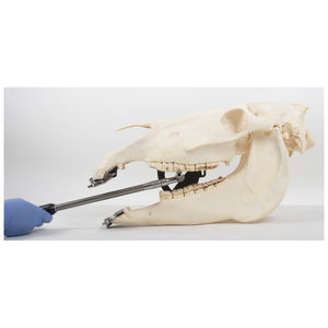 equine handpiece 1