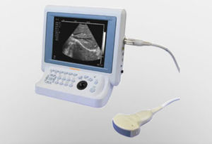 portable veterinary ultrasound system