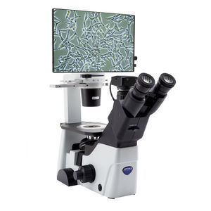 optical microscope