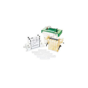 agarose gel electrophoresis chamber