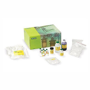 solution reagent kit