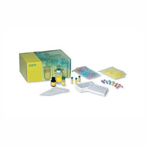 antibody reagent kit