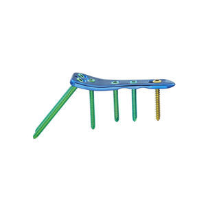 patella model