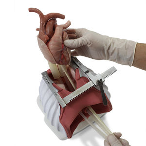 cardiac surgery patient simulator