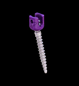 polyaxial pedicle screw