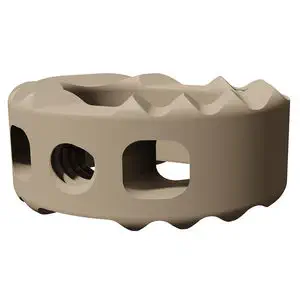 Cervical interbody fusion cage - Alphatec Spine - anterior / allograft