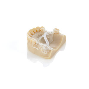 resin dental material